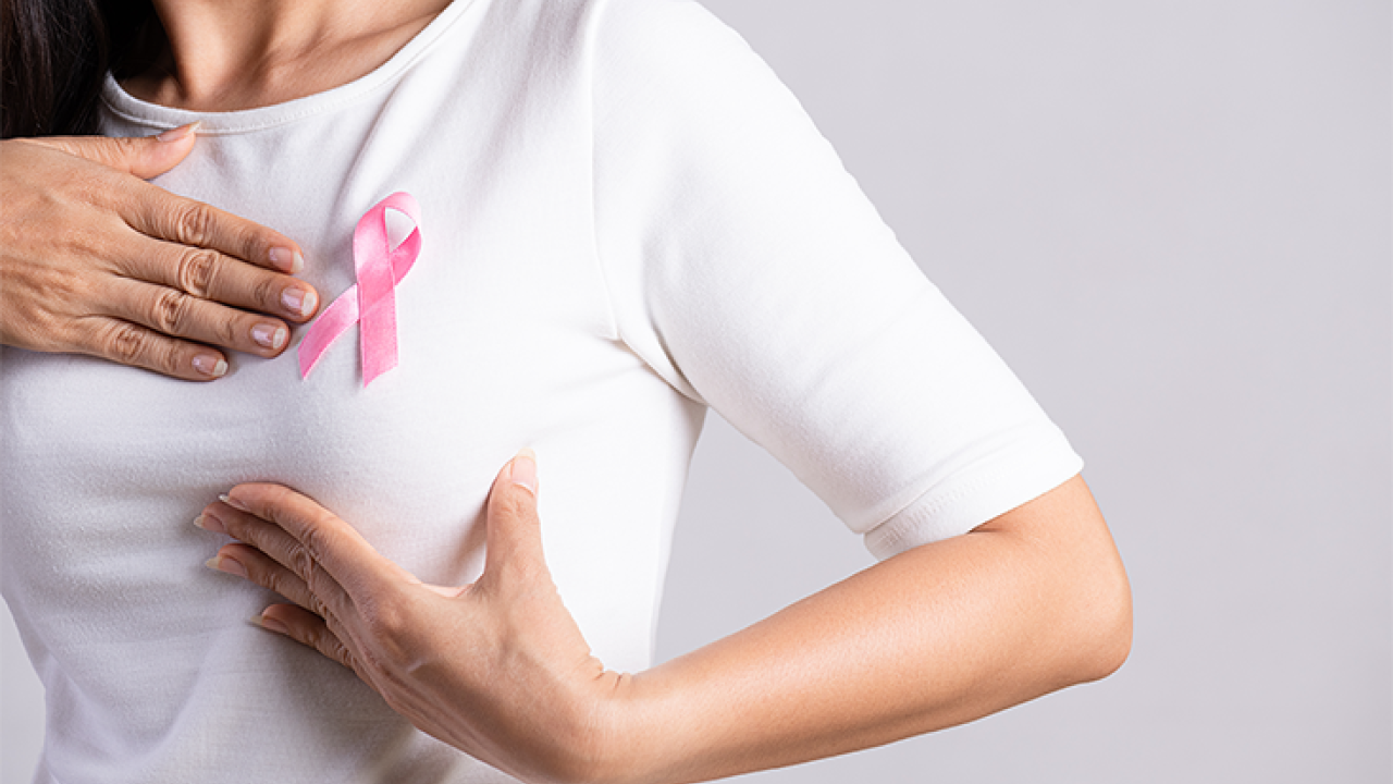 Ação dos Fitoquímicos na prevenção do Câncer de Mama