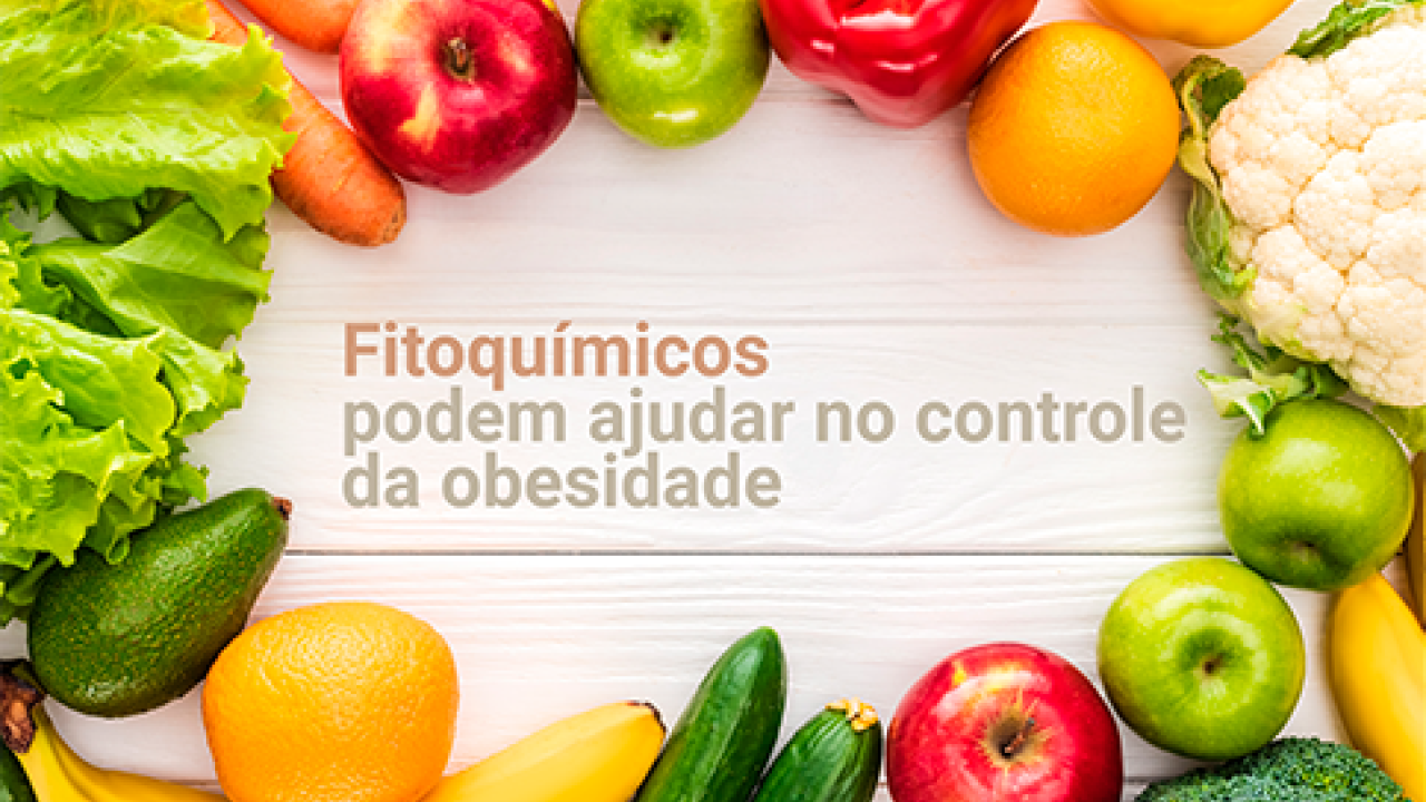 Fitoquímicos podem ajudar no controle da obesidade